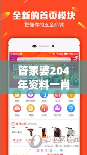管家婆204年资料一肖,专业解答解释落实_苹果.5.125