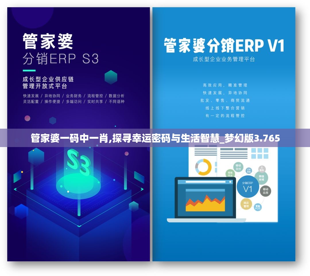 管家婆一码中一肖,探寻幸运密码与生活智慧_梦幻版3.765
