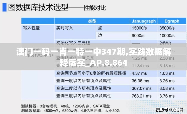 澳门一码一肖一特一中347期,实践数据解释落实_AP.8.864