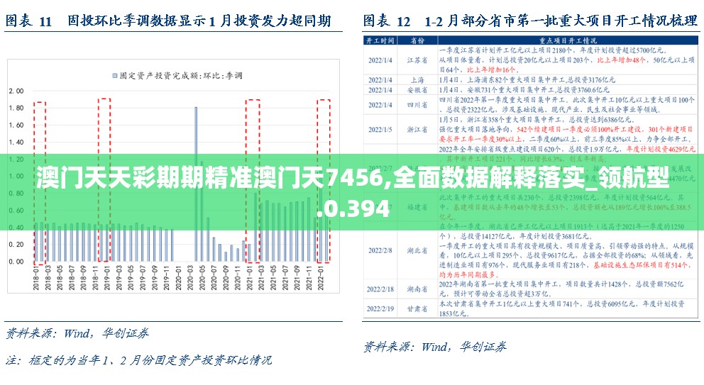 澳门天天彩期期精准澳门天7456,全面数据解释落实_领航型.0.394