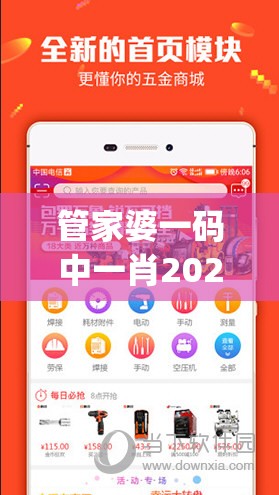 管家婆一码中一肖2024年,智能科技助你生活更便捷_体验版.3.396