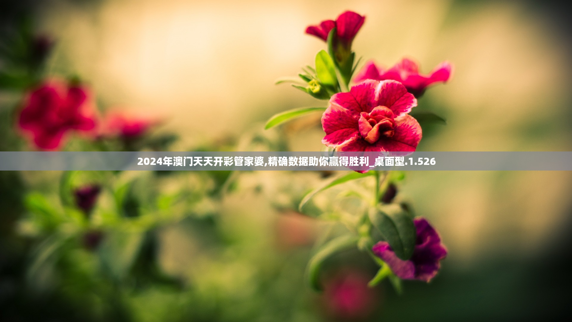 2024年澳门天天开彩管家婆,精确数据助你赢得胜利_桌面型.1.526