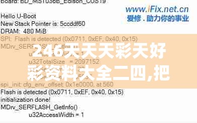 246天天天彩天好彩资料大全二四,把握核心问题的解答与落实_激发款.8.283