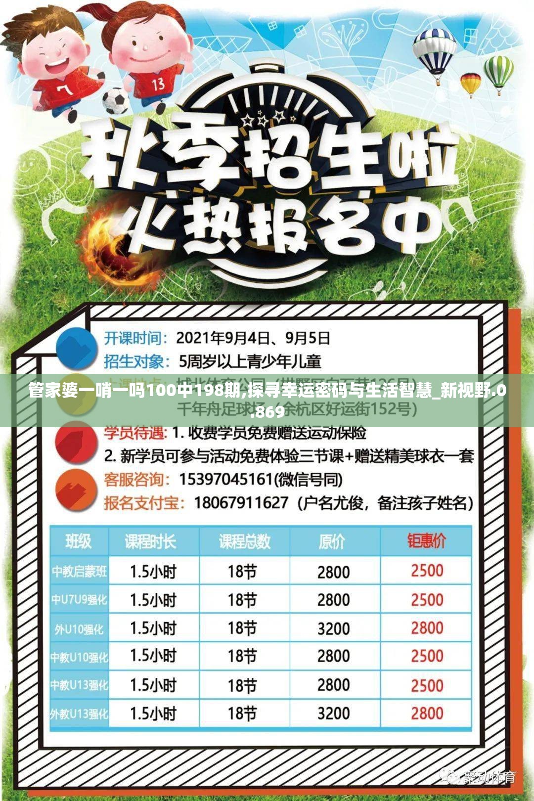 管家婆一哨一吗100中198期,探寻幸运密码与生活智慧_新视野.0.869