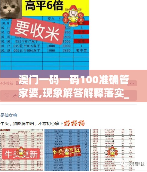 澳门一码一码100准确管家婆,现象解答解释落实_未来版6.713