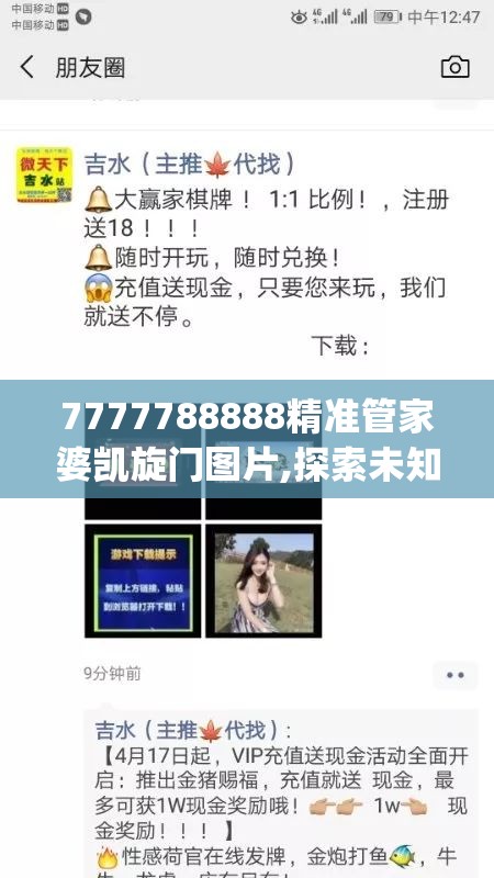 7777788888精准管家婆凯旋门图片,探索未知的奇妙世界_梦幻版IPAD.5.135