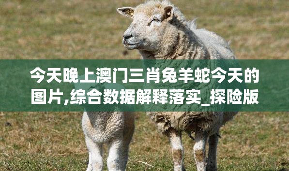 今天晚上澳门三肖兔羊蛇今天的图片,综合数据解释落实_探险版THE.4.297