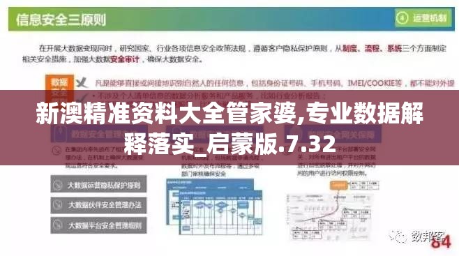 新澳精准资料大全管家婆,专业数据解释落实_启蒙版.7.32