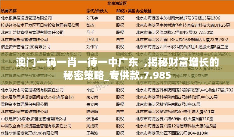 澳门一码一肖一待一中广东  ,揭秘财富增长的秘密策略_专供款.7.985