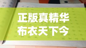 正版真精华布衣天下今天,专业解答解释落实_速配款.5.142
