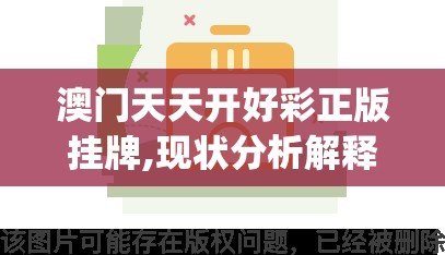 澳门天天开好彩正版挂牌,现状分析解释落实_3DM0.676