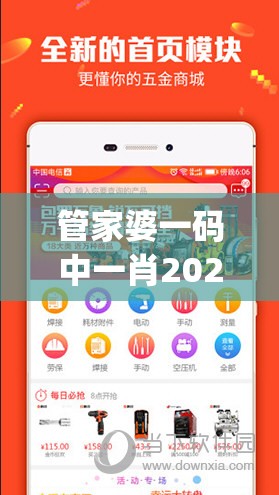 管家婆一码中一肖2024年198期,现象分析解释落实_对抗型.5.896
