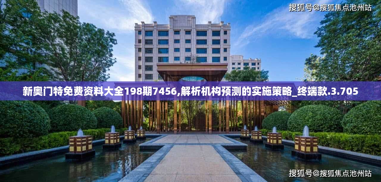 新奥门特免费资料大全198期7456,解析机构预测的实施策略_终端款.3.705