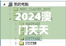 2024澳门天天开好彩大全20237456,高效解答解释落实_单独版.8.769