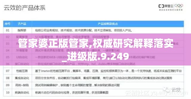 管家婆正版管家,权威研究解释落实_进级版.9.249