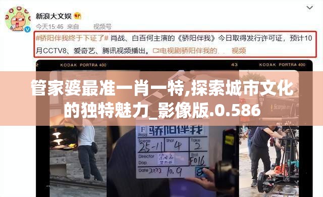 管家婆最准一肖一特,探索城市文化的独特魅力_影像版.0.586