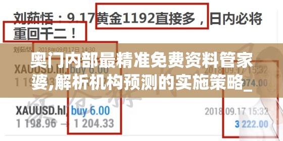 奥门内部最精准免费资料管家婆,解析机构预测的实施策略_白金版.3.593