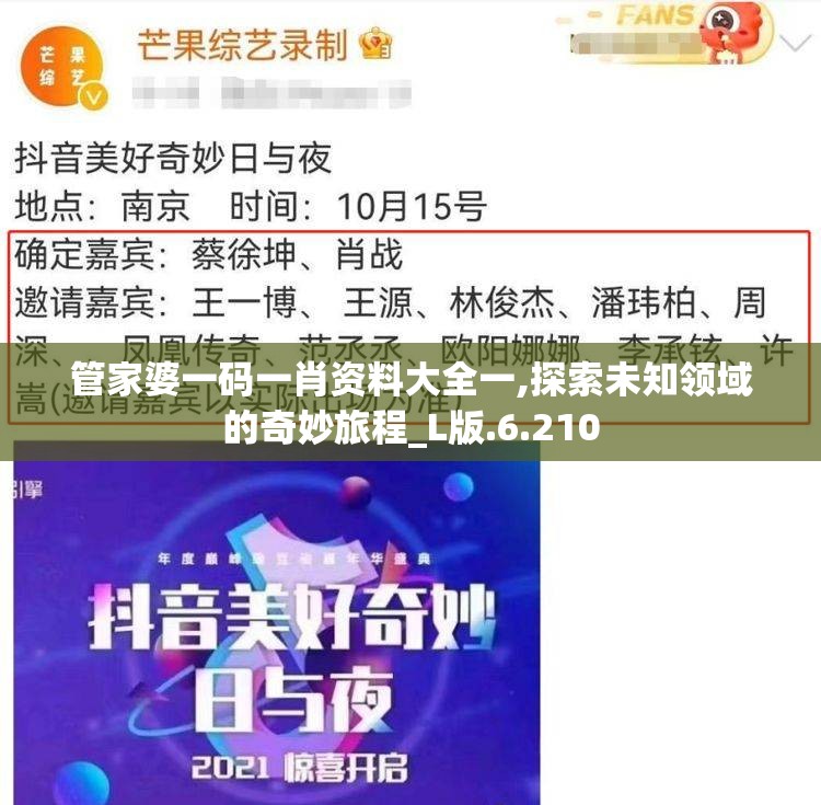 管家婆一码一肖资料大全一,探索未知领域的奇妙旅程_L版.6.210