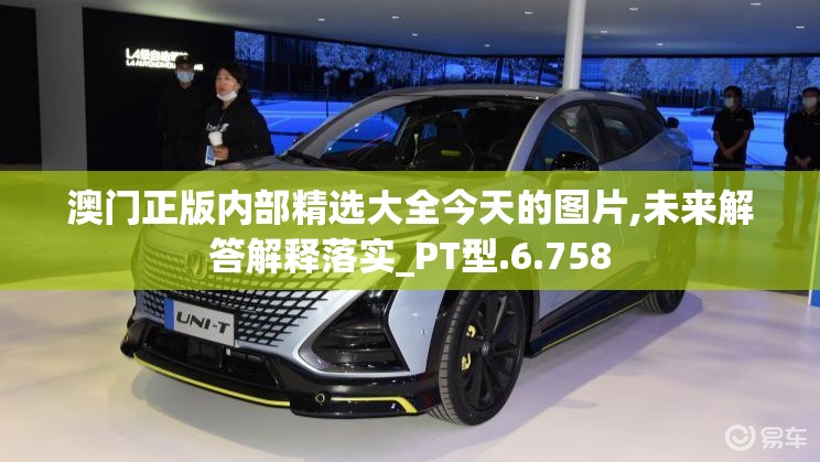 澳门正版内部精选大全今天的图片,未来解答解释落实_PT型.6.758