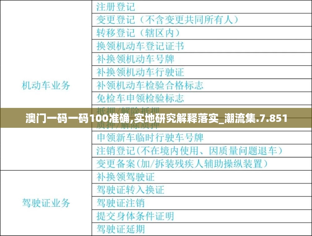 澳门一码一码100准确,实地研究解释落实_潮流集.7.851