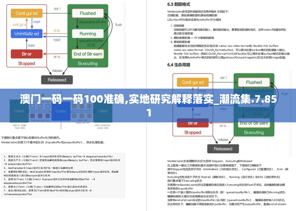 澳门一码一码100准确,实地研究解释落实_潮流集.7.851