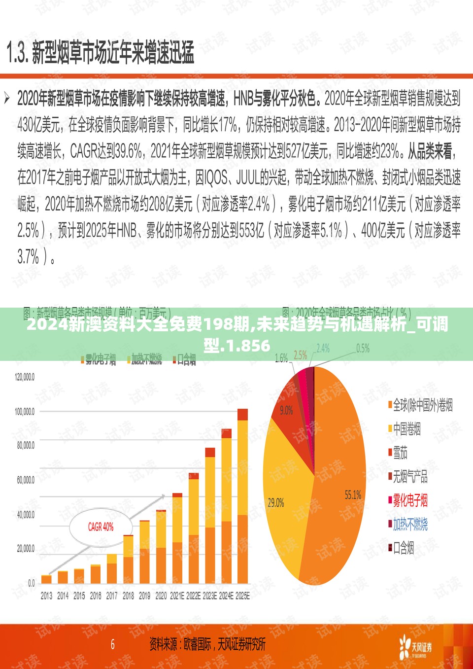 2024新澳资料大全免费198期,未来趋势与机遇解析_可调型.1.856