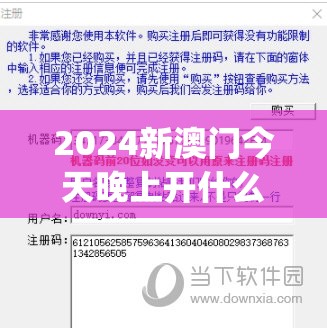 2024新澳门今天晚上开什么生肖,现状分析解释落实_梦幻版IP.4.358