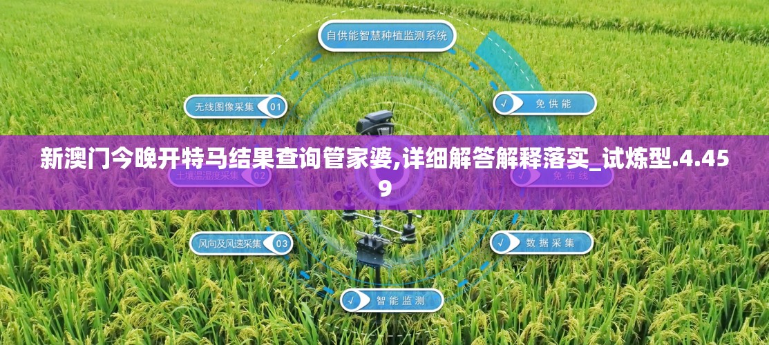 新澳门今晚开特马结果查询管家婆,详细解答解释落实_试炼型.4.459