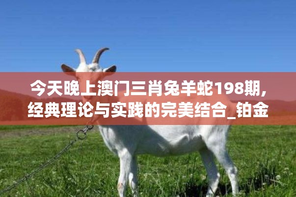 今天晚上澳门三肖兔羊蛇198期,经典理论与实践的完美结合_铂金版.8.871