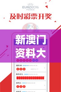 新澳门资料大全正版资料2023,实践研究解释落实_移动版IPAD.2.376
