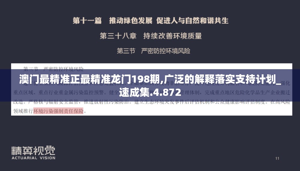 澳门最精准正最精准龙门198期,广泛的解释落实支持计划_速成集.4.872