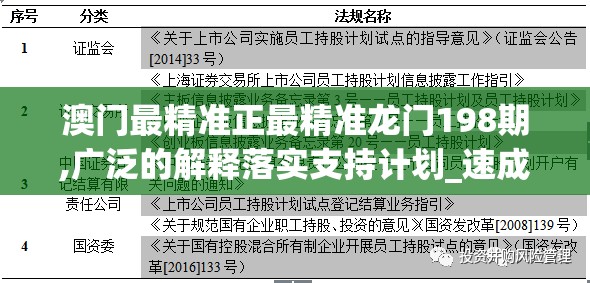 澳门最精准正最精准龙门198期,广泛的解释落实支持计划_速成集.4.872