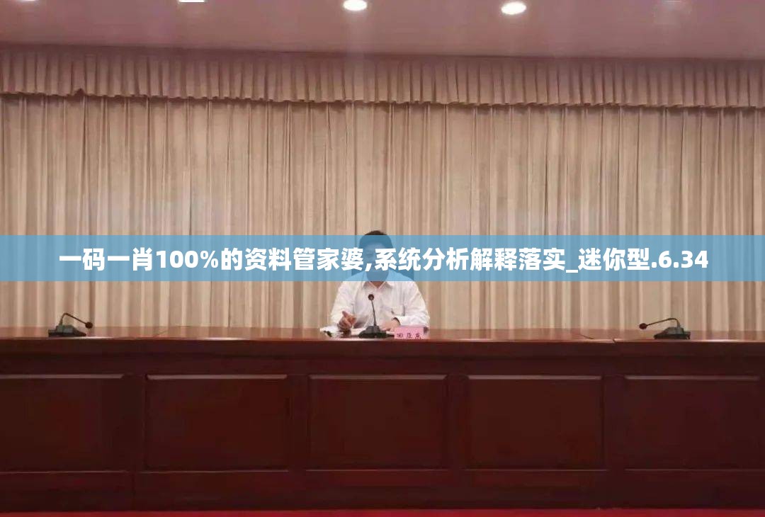一码一肖100%的资料管家婆,系统分析解释落实_迷你型.6.34