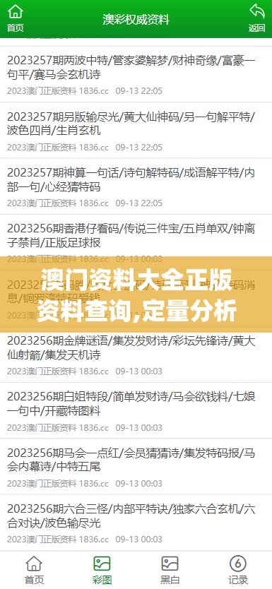 澳门资料大全正版资料查询,定量分析解释落实_奢华集.7.440