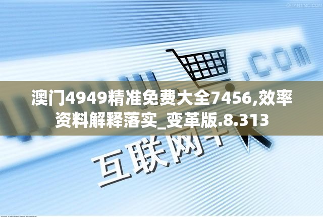 澳门4949精准免费大全7456,效率资料解释落实_变革版.8.313