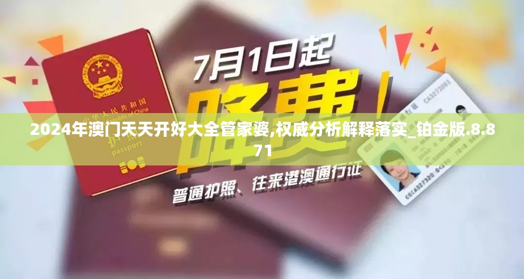 2024年澳门天天开好大全管家婆,权威分析解释落实_铂金版.8.871