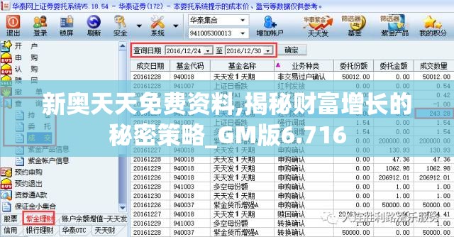 新奥天天免费资料,揭秘财富增长的秘密策略_GM版6.716