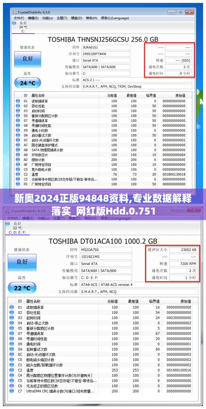 新奥2024正版94848资料,专业数据解释落实_网红版Hdd.0.751