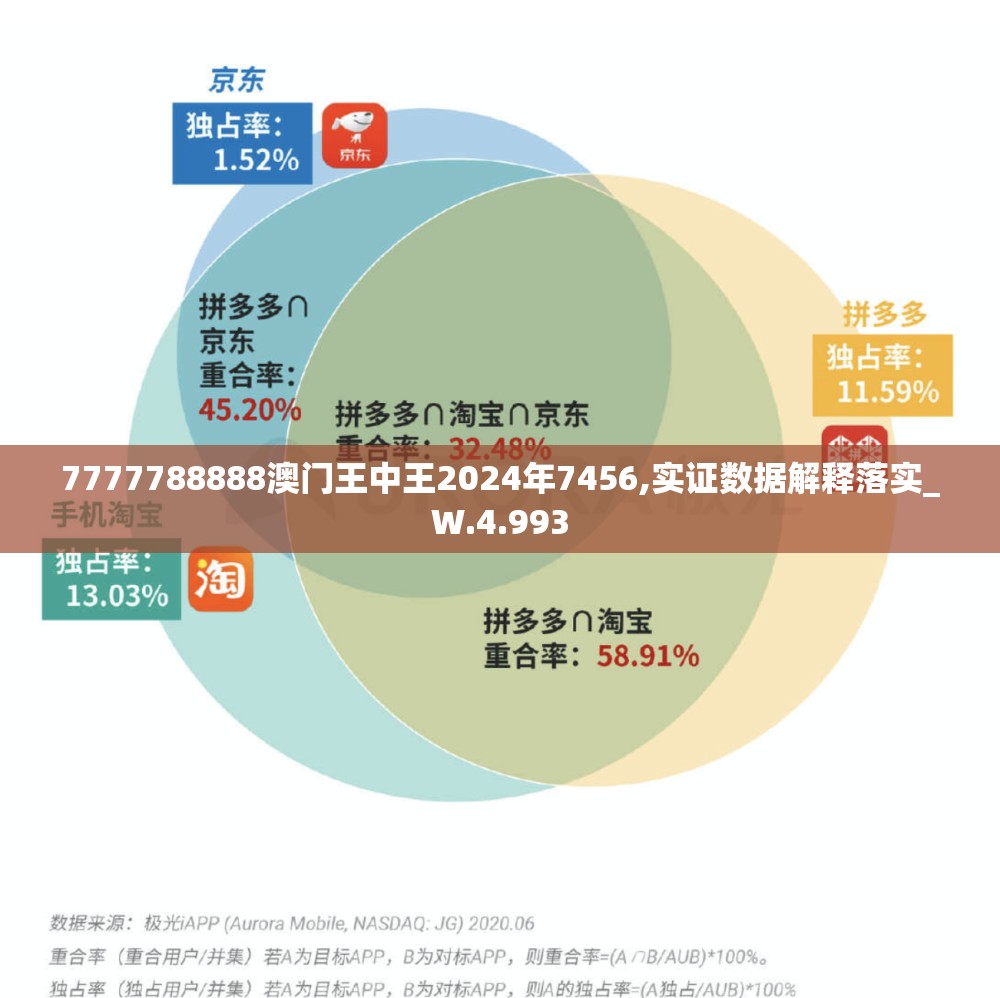 7777788888澳门王中王2024年7456,实证数据解释落实_W.4.993
