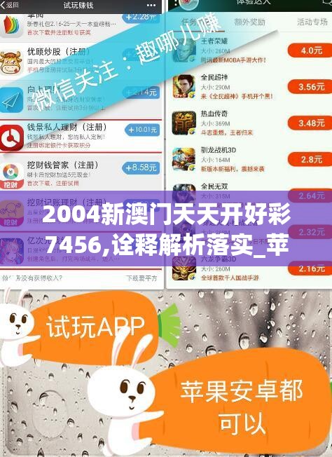 2004新澳门天天开好彩7456,诠释解析落实_苹果.0.119