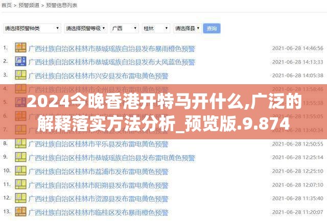 2024今晚香港开特马开什么,广泛的解释落实方法分析_预览版.9.874