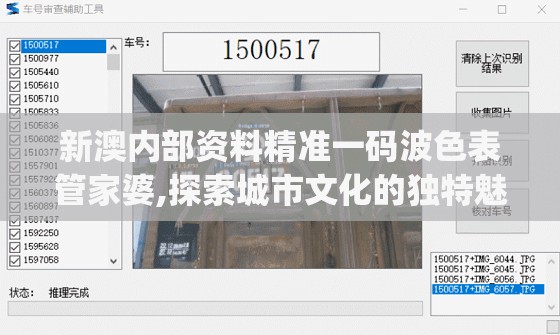 新澳内部资料精准一码波色表管家婆,探索城市文化的独特魅力_奢华集.7.743