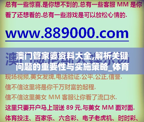 澳门管家婆资料大全,解析关键问题的重要性与实施策略_体育版.1.530
