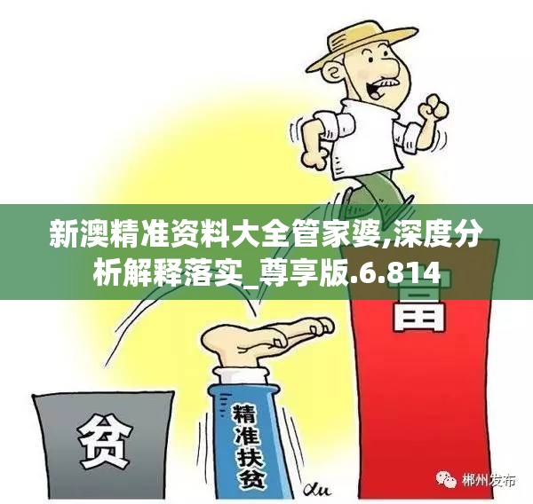 新澳精准资料大全管家婆,深度分析解释落实_尊享版.6.814