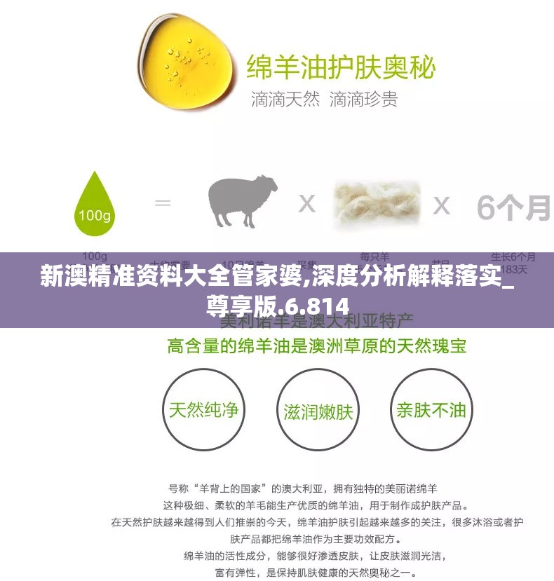 新澳精准资料大全管家婆,深度分析解释落实_尊享版.6.814