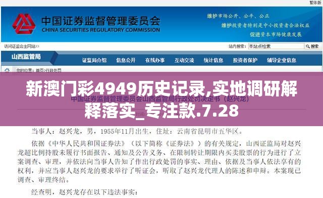 新澳门彩4949历史记录,实地调研解释落实_专注款.7.28