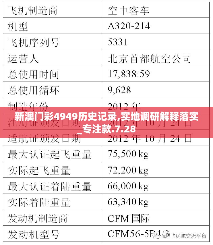 新澳门彩4949历史记录,实地调研解释落实_专注款.7.28
