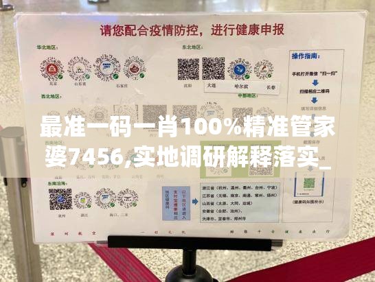 最准一码一肖100%精准管家婆7456,实地调研解释落实_可调型.1.856