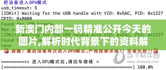 新澳门内部一码精准公开今天的图片,解析时代背景下的资料解读_改进版.7.813