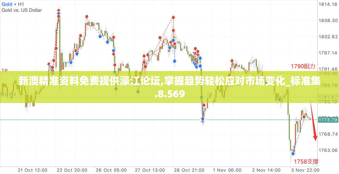 新澳精准资料免费提供濠江论坛,掌握趋势轻松应对市场变化_标准集.8.569
